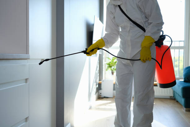 Best Comprehensive Air Testing for Mold Contaminants  in College Station, TX